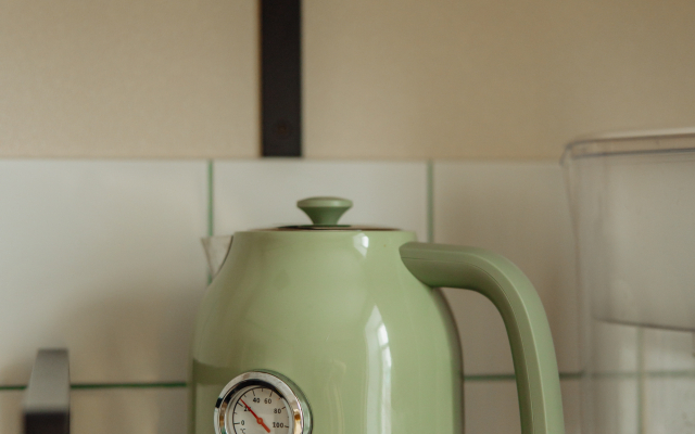 Retro Green Apart Flat