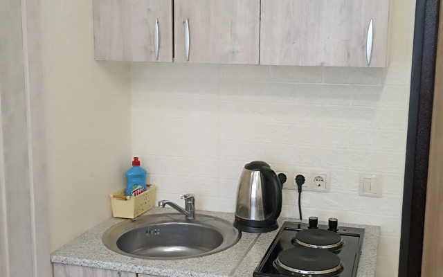 V dvukh minutakh ot Naberezhnoy Apartments
