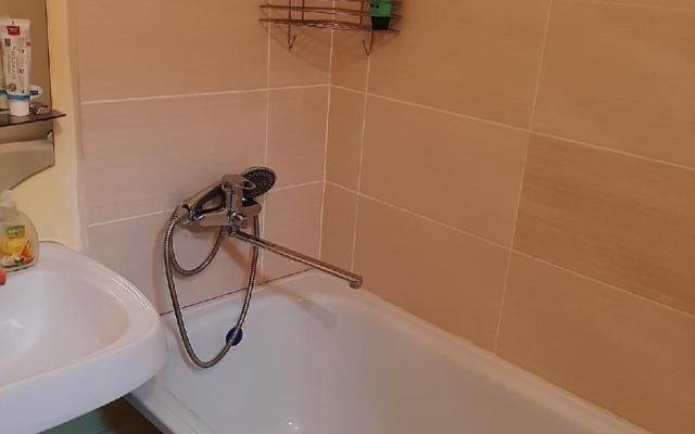 Апартаменты уютная студия у Эльгрина