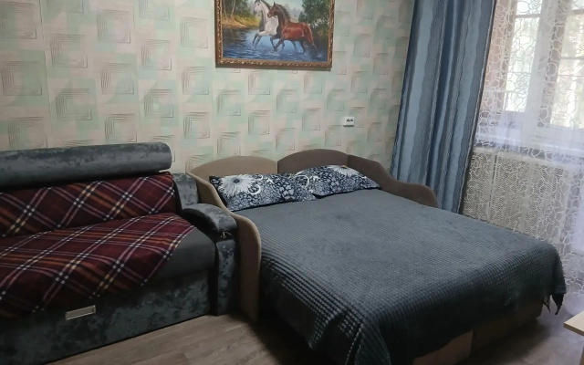 Квартира 1 комн. на 4 гостей рядом парк ТЦ