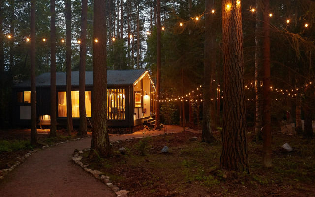 Repinskaya Dacha na Opushke Krasivogo Lesa Private House