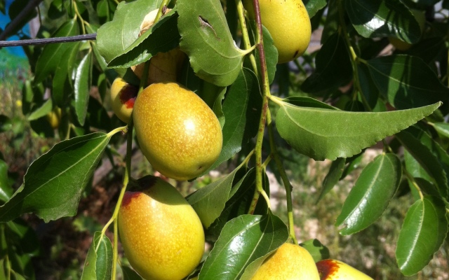 База Отдыха Эко Курорт Морское