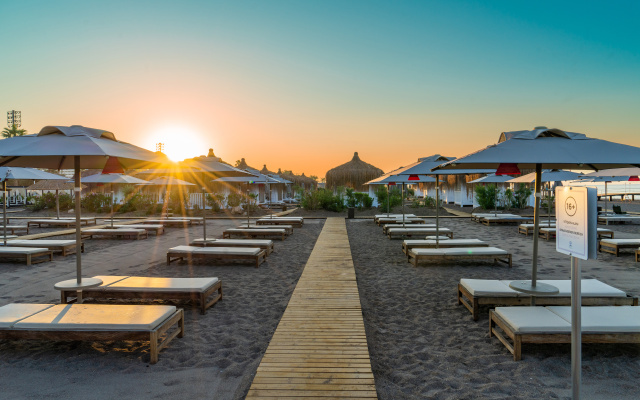 Lara Barut Collection