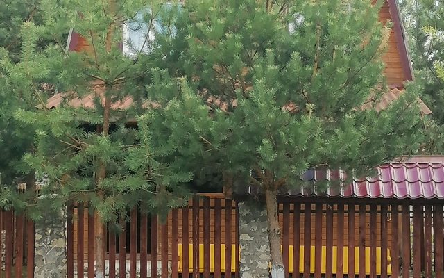 Ekspeditsiya Guest House