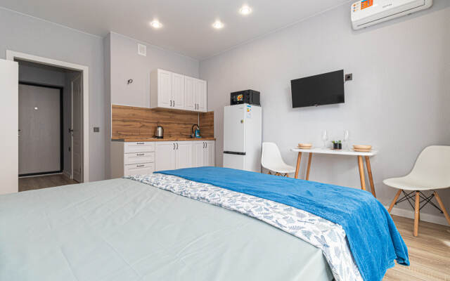 Semeynaya Studiya V Zhk Samolyot Apartments