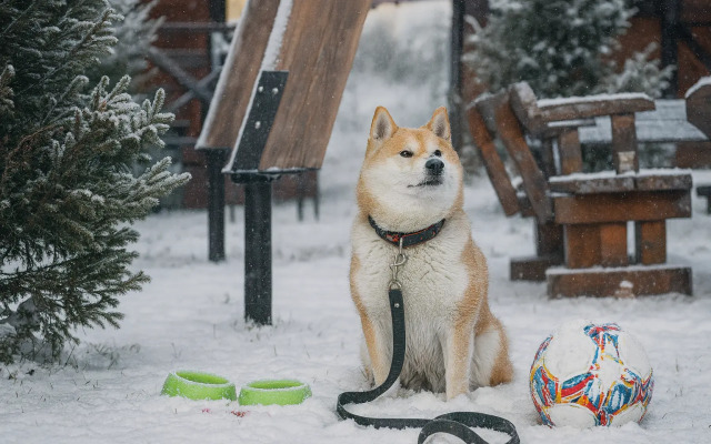 Гостевой дом Кедровый Берег