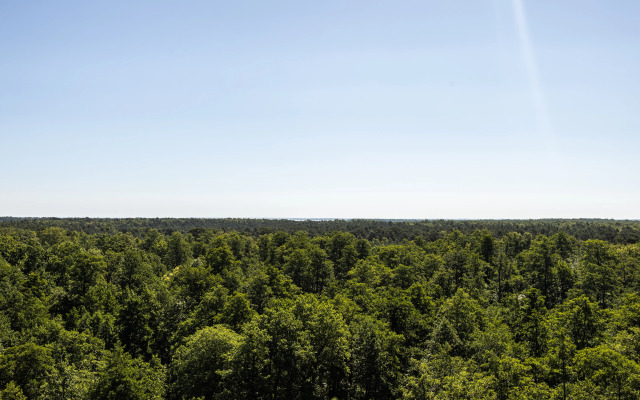 Апартаменты Созвездие