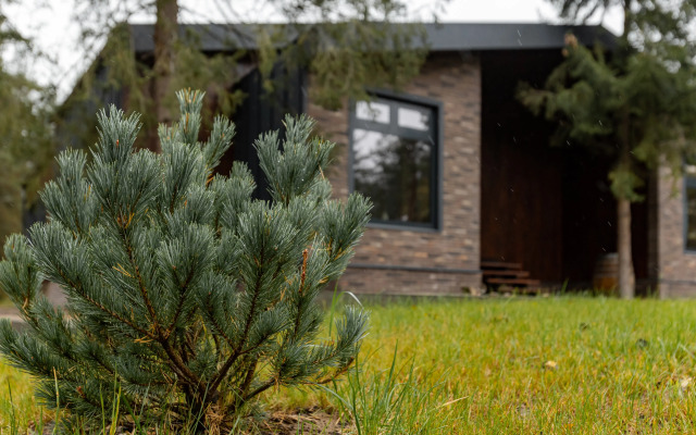 Отель Вино и Сосны