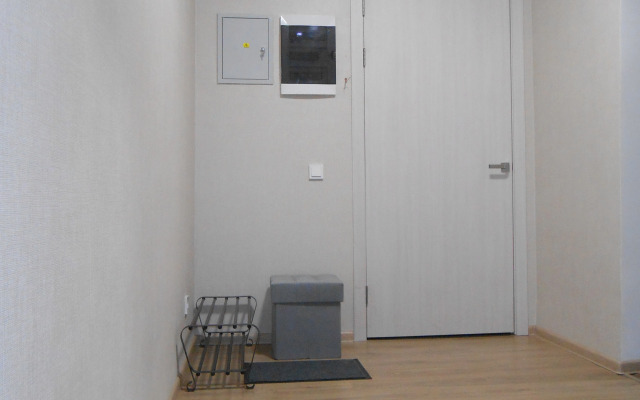 V Tsentre Pskova Flat