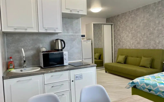 Studio na ulice Raketnaya 17 Apartments (3)