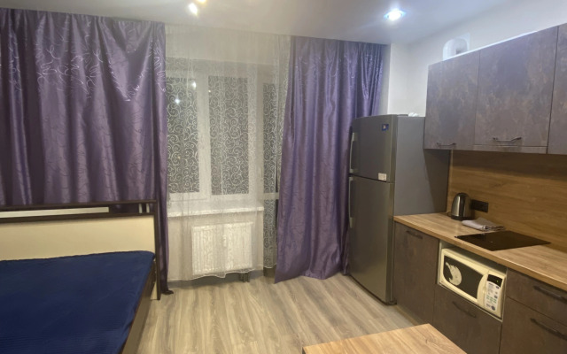 Квартира на Тентюковской 308(2)