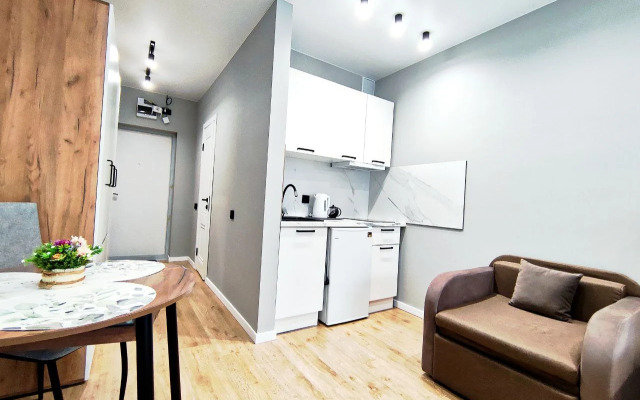 Квартира студия на троих