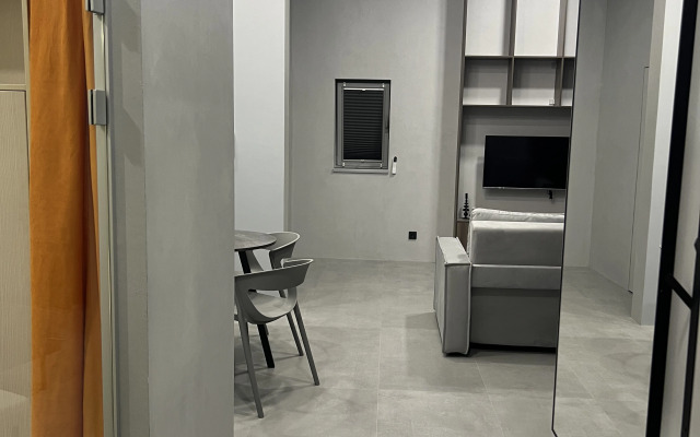 45 m2 s vidom na park Flat
