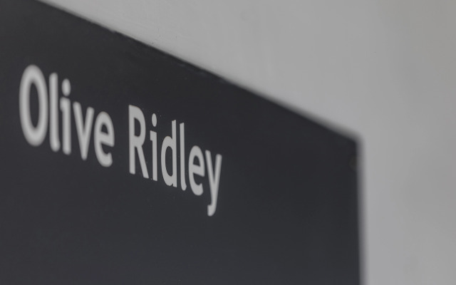 The Frangipani Tree by Edwards Collection Villa