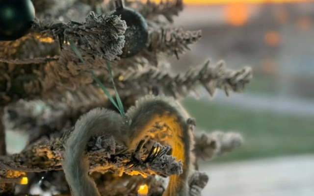 Частный дом Плещеево Хиллз 2