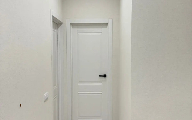 Dvukhkomnatnaya v tsentre Flat