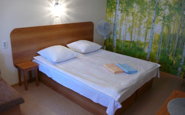 Апарт-отель Дом для командированных