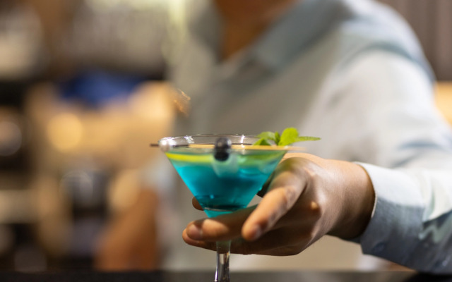 Hotel Aviator Sheremetyevo