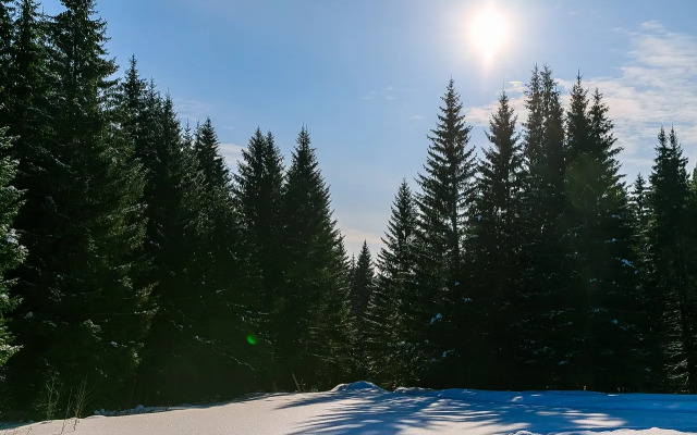 Opushka Dom Sredi Derevyev Glamping