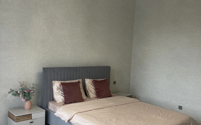 V Tsentre Apartments