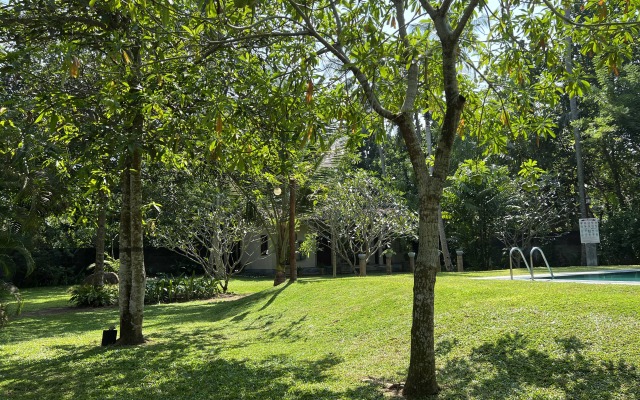 Ayurveda 386 Villa