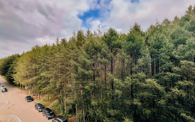 Апартаменты Privi House на 40 лет победы 89