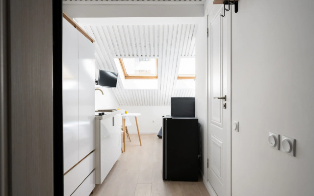 Апартаменты Welcome Home Мансарда на Невском 106