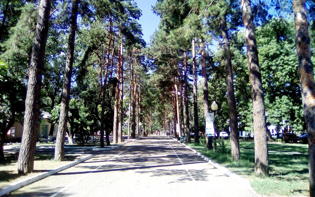 Квартира на Улице Рябиновой 2Вк1