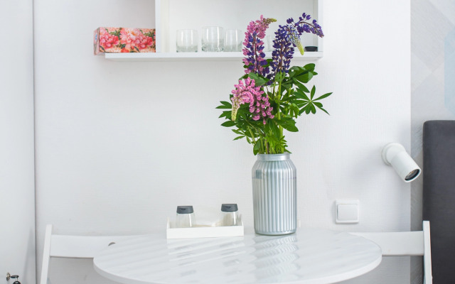 Квартира Студия у Смольного