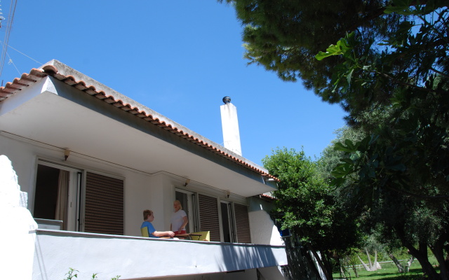Alexander Apartments