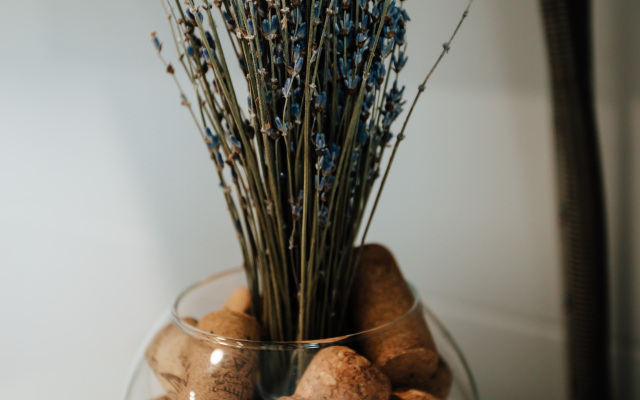 Квартира на Воровского 67