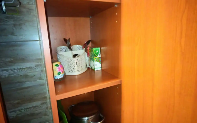 U Starokalinkinskogo mosta Apartments