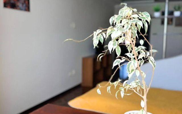 Квартира Огромная 100м² для семьи или компании