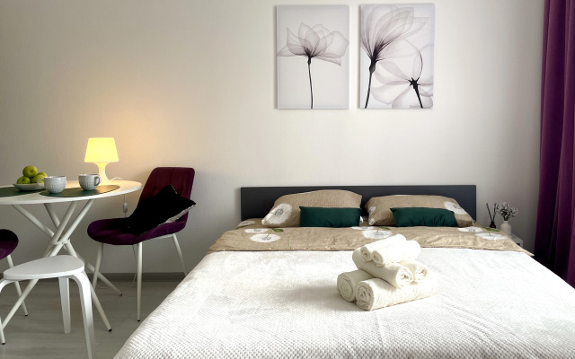 Апартаменты рядом с аэропортом и экспофорумом