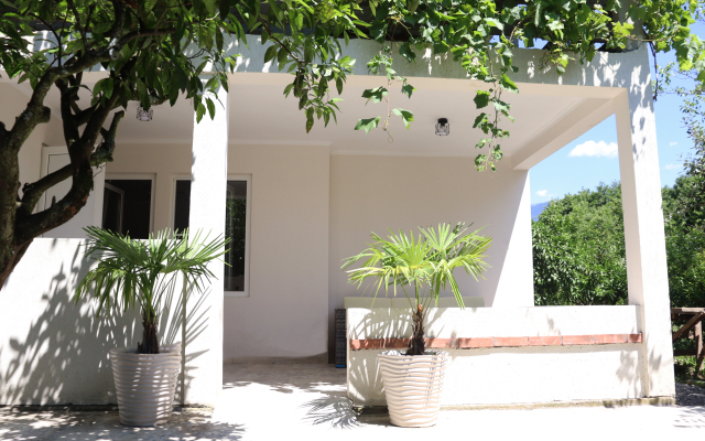 Citrus Tree Guest house