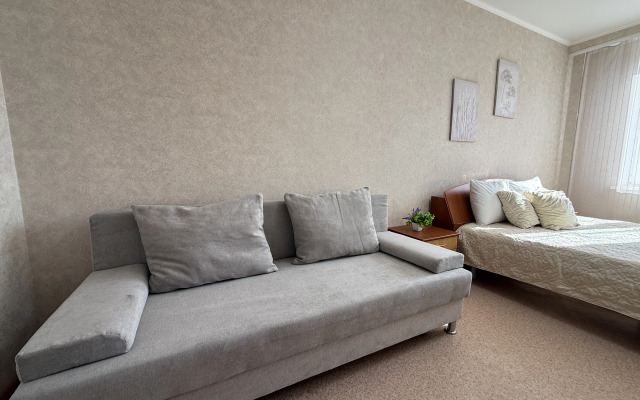 Апартаменты 1 плюс 15 минут пешком до аквапарка