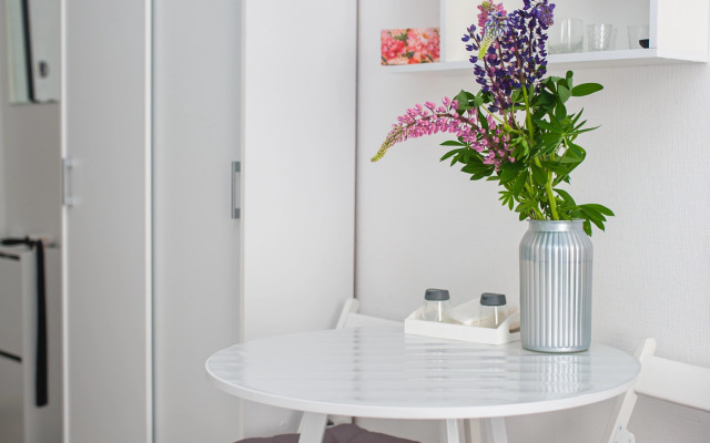 Квартира Студия у Смольного