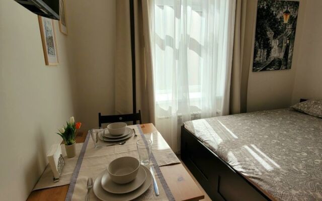 Квартира - студия в иcтoричeскoм цeнтре Санкт-Пeтеpбургa (4)