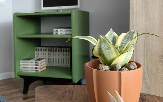 Апартаменты Стоп.Снято! Green Life