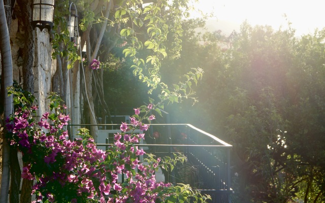 Villa Tamara Hotel