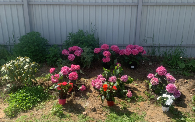 Гостевой дом Анастасия Балашиха