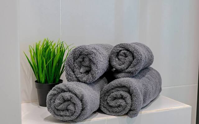 Квартира вблизи Мариинского Театра