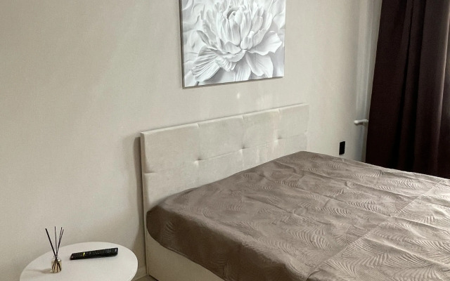 Квартира Красноармейский 106А