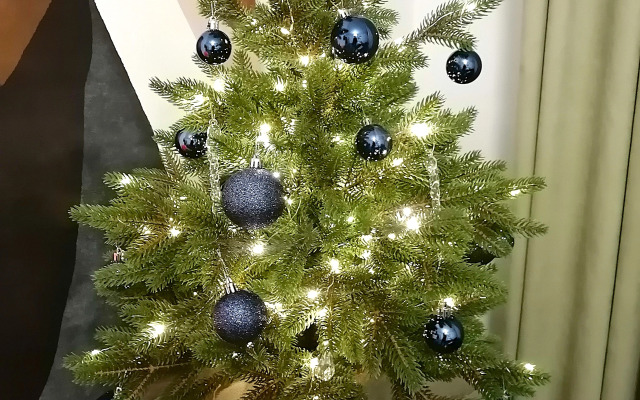 Апартаменты Южный вояж