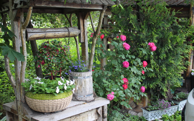 U Druzej Guest House