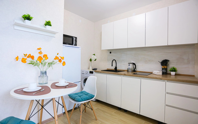 U Petrovny uyutnaya Studiya Flat