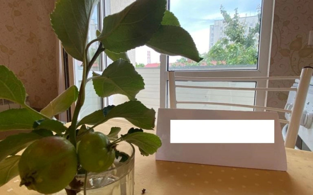 V 5 minutakh ot morya Flat