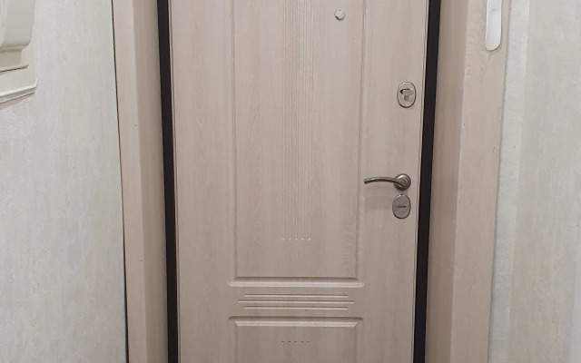 odnokomnatnaya v tsentre Flat