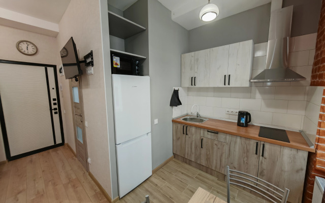 Studiya V Istoricheskom Tsentre Flat