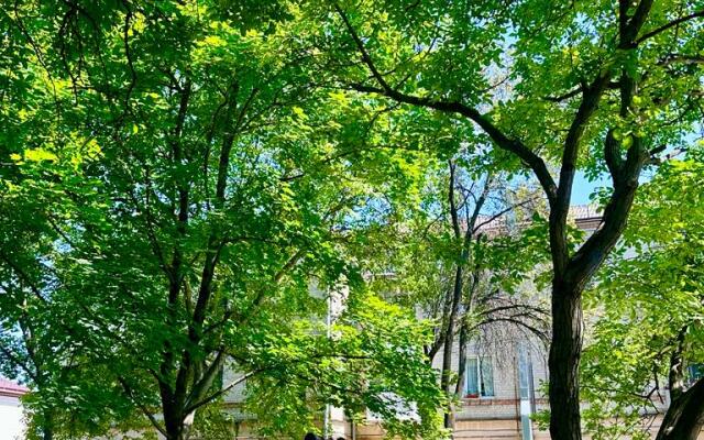 Квартира Уютная Трёшка